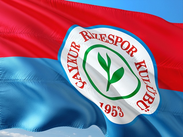 马丁内斯谈C罗肘击被罚下：那不是暴力行为，而是对挑衅的反应