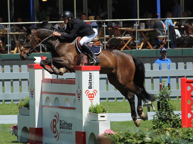 伯恩茅斯门将：与切尔西战平的结果很公平，我们正重回正轨